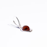 Exquisite Baltic Drop Amber Dangle Earrings