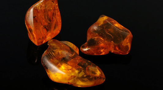 The Rich History of Amber