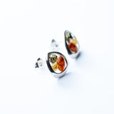 Trio-Tone Baltic Amber Stud Earrings