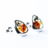 Trio-Tone Baltic Amber Stud Earrings