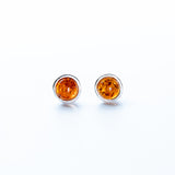 Classic & Simple Amber Stud Earrings