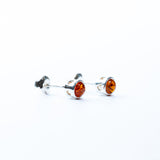 Classic & Simple Amber Stud Earrings