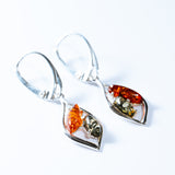 Two-Tone Baltic Amber Drop Earrings