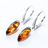 Baltic Amber Marquise Hoop Earrings