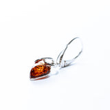 Baltic Amber Teardrop Loop Earrings