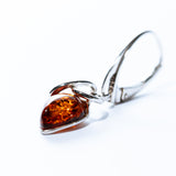 Baltic Amber Teardrop Loop Earrings