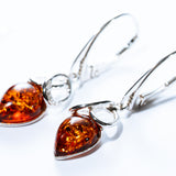 Baltic Amber Teardrop Loop Earrings