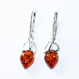 Baltic Amber Teardrop Loop Earrings