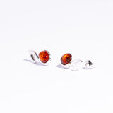 Elegant Key of Note Baltic Amber Earrings Stud