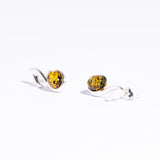 Elegant Key of Note Baltic Amber Earrings Stud