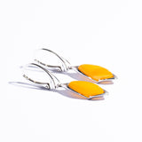 Elegant & Classic Baltic Amber Teardrop Dangle Earrings