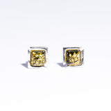 Classic medium square Baltic Amber Stud Earrings