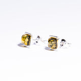 Classic medium square Baltic Amber Stud Earrings