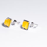 Classic medium square Baltic Amber Stud Earrings