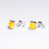 Classic small square Baltic Amber Stud Earrings